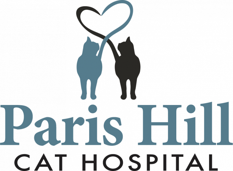 Paris Hill Cat Hospital